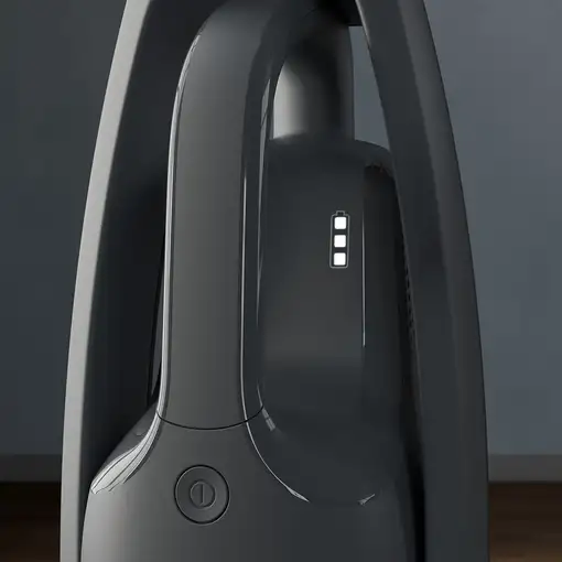 Aspiradoras de escoba sin bolsa 0.3 L Negro 900 402 207 AEG