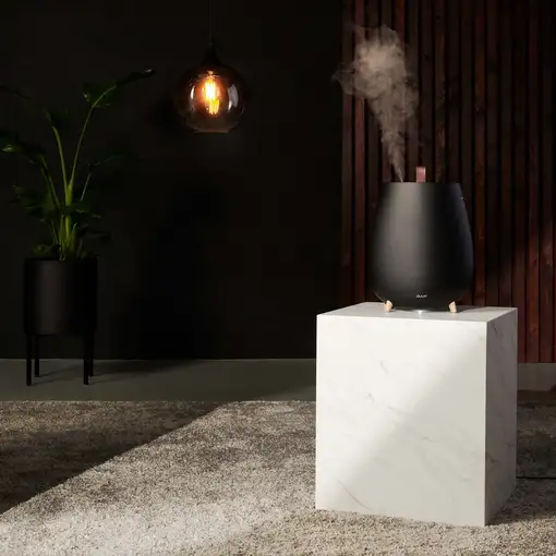 Duux Tag 2 humidificador Ultrasónica 2,5 L Negro 12 W
