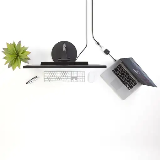 StarTech.com Adaptador Mini DisplayPort a DVI - Conversor Mini DP a DVI-D de Vídeo