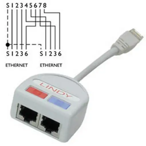 Lindy UTP Port Doubler cable de red Gris