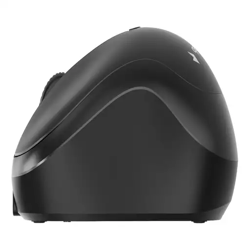 Gembird MUSW2-4B-01 ratón Hogar Ambidextro RF Wireless + Bluetooth Óptico 1600 DPI