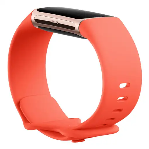 Fitbit Charge 6 AMOLED Pulsera de actividad Oro