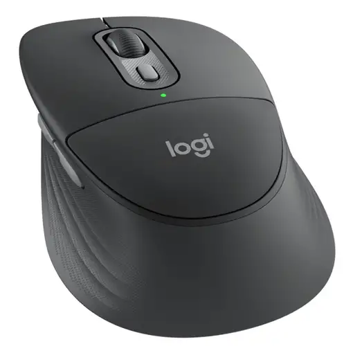 Logitech Signature Comfort Plus M850 L for Business ratón Universal Mano derecha R