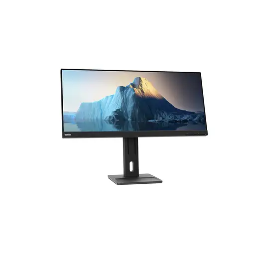 Lenovo ThinkVision E29w-20 LED display 73,7 cm (29\) 2560 x 1080 Pixeles UltraWide