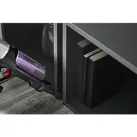 Rowenta RH2037 Aspiradora escoba 2 en 1 Batería Secar Sin bolsa 0,4 L 250 W Negro,