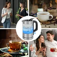 ProfiCook PC-WKS 1228 G tetera eléctrica 0,5 L 1100 W Acero inoxidable, Transparen