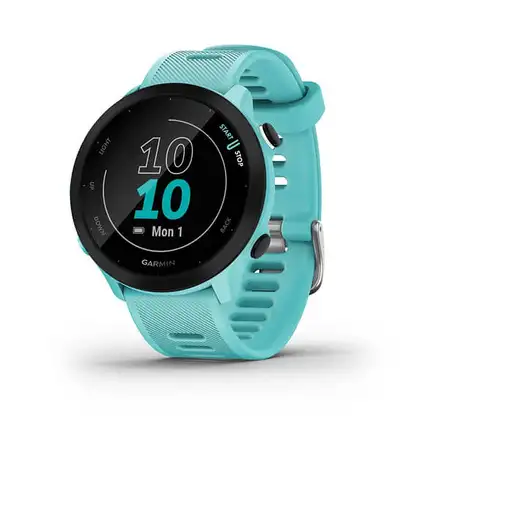 Garmin Forerunner 55 2,64 cm (1.04\) MIP 42 mm Digital 208 x 208 Pixeles GPS (saté