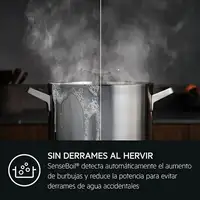 AEG TI63IQ10IZ Negro Integrado 60 cm Con placa de inducción 3 zona(s)