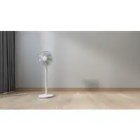 Xiaomi PYV4007GL ventilador Blanco