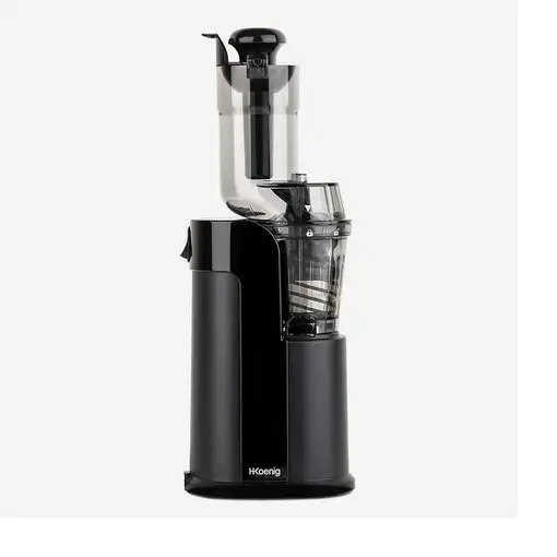 H.Koenig GSX16 exprimidor Exprimidor lenta 250 W Negro, Acero inoxidable