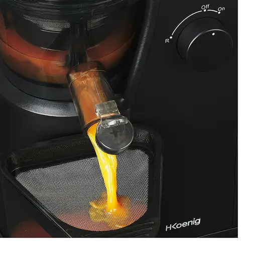 H.Koenig GSX24 exprimidor Exprimidor lenta 400 W Negro