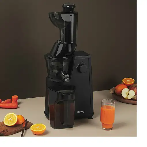 H.Koenig GSX24 exprimidor Exprimidor lenta 400 W Negro