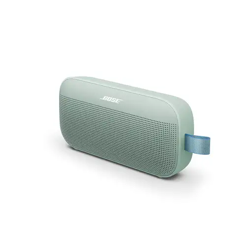 Bose 887612-0400 altavoz portátil o de fiesta Salvia