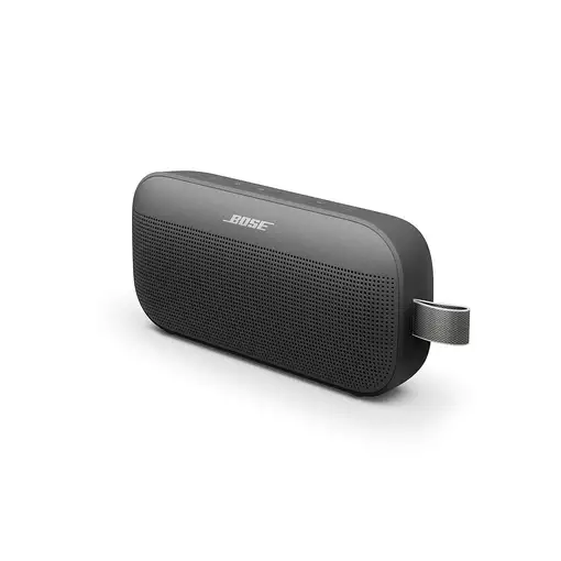 Bose 887612-0100 altavoz portátil o de fiesta Negro