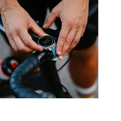 Smartwatch Polar 8637 Vantage V3  (1.39'') 454x454 Pixeles