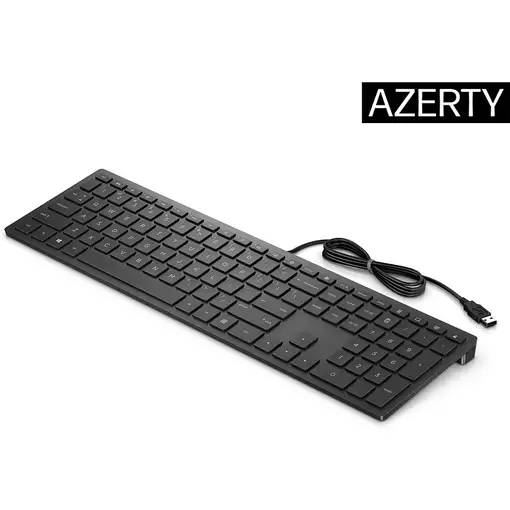 HP Teclado con cable Pavilion 300