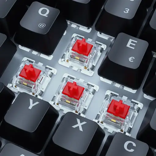 Sharkoon SKILLER SGK50 S3 teclado Juego USB QWERTZ Alemán Negro