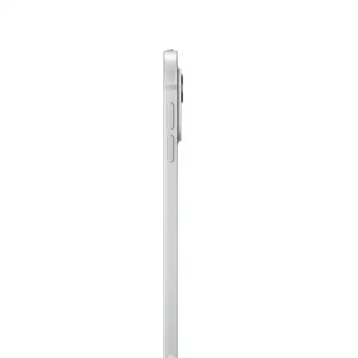 Apple iPad Pro 5G Apple M TD-LTE & FDD-LTE 1 TB (11'') 16 GB Wi-Fi 6E plateado