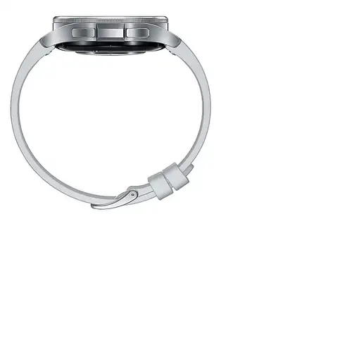 Smartwatch Samsung 75739 SM-R955F (1.3'') 432x432 Pixeles