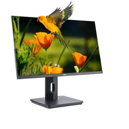 Nilox Monitor de 24\ Regulable, Full HD, HDMI, DP y VGA