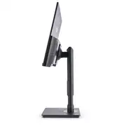 Nilox Monitor de 24\ Regulable, Full HD, HDMI, DP y VGA