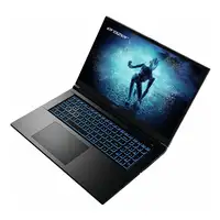 Erazer MD62596 Intel® Core™ i5 i5-12450H Portátil 43,9 cm (17.3") Full HD 16 GB DD