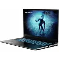 Erazer MD62596 Intel® Core™ i5 i5-12450H Portátil 43,9 cm (17.3") Full HD 16 GB DD