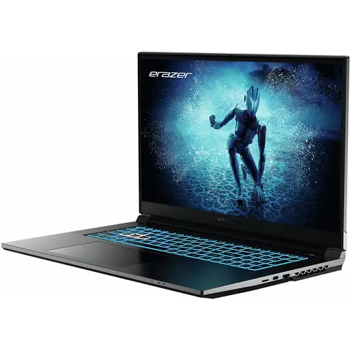 Erazer MD62596 Intel® Core™ i5 i5-12450H Portátil 43,9 cm (17.3") Full HD 16 GB DD
