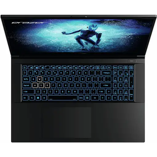 Erazer MD62596 Intel® Core™ i5 i5-12450H Portátil 43,9 cm (17.3") Full HD 16 GB DD