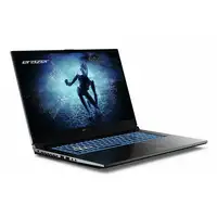 Erazer MD62596 Intel® Core™ i5 i5-12450H Portátil 43,9 cm (17.3") Full HD 16 GB DD