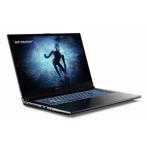 Erazer MD62596 Intel® Core™ i5 i5-12450H Portátil 43,9 cm (17.3") Full HD 16 GB DD