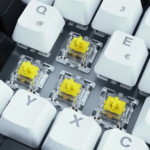 Sharkoon SKILLER SGK50 S3 teclado Juego USB QWERTY Portugués Blanco
