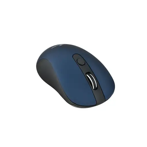 Bluestork M-WL-OFF60 ratón Oficina Ambidextro RF inalámbrico Óptico 1600 DPI