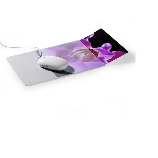 Durable 5747-19 Transparente