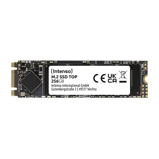 Intenso Top 256 GB M.2 Serial ATA III