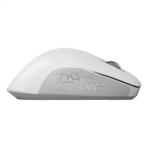 CHERRY JW-8550-0 ratón Universal mano derecha RF inalámbrico Óptico 4000 DPI