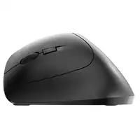 CHERRY MW 4500 ratón Oficina Izquierda RF inalámbrico Óptico 1200 DPI