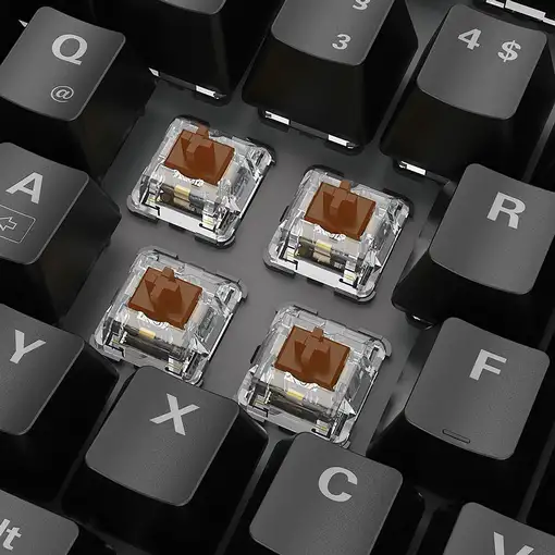 Sharkoon SKILLER SGK20 Brown teclado Juego USB QWERTZ Alemán Negro