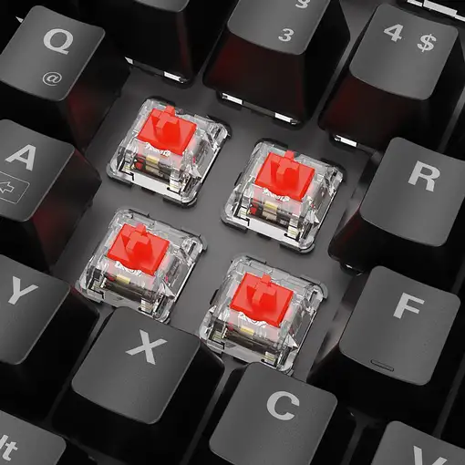 Sharkoon SKILLER SGK20 Red teclado Juego USB QWERTZ Alemán Negro