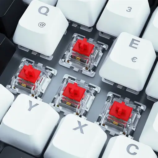 Sharkoon SKILLER SGK50 S3 teclado Juego USB QWERTY Alemán Blanco