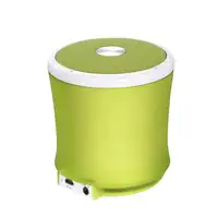 Terratec 145357 altavoz portátil o de fiesta Verde 2,2 W