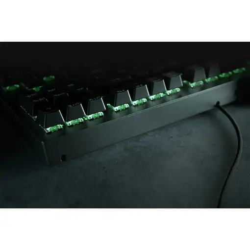 Razer Blackwidow V3 Tenkeyless teclado Juego USB QWERTY Inglés de EE. UU. Negro