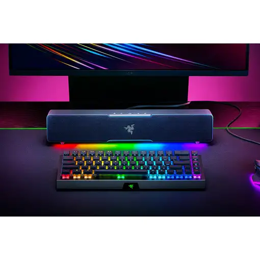 Razer Leviathan V2 X Negro 65 W