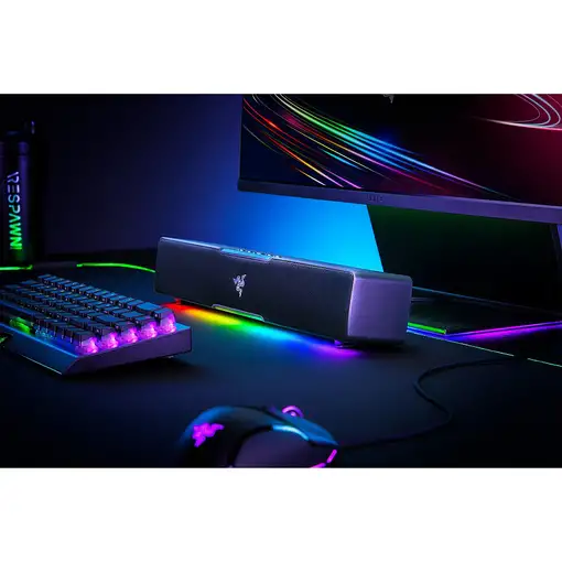Razer Leviathan V2 X Negro 65 W
