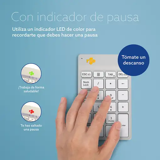 R-Go Tools Teclado numérico R-Go Numpad Break, teclado numérico ergonómico con sof