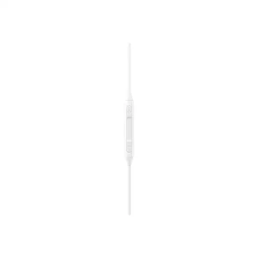 Samsung EO-IC100 Auriculares Alámbrico Dentro de oído Llamadas/Música USB Tipo C B