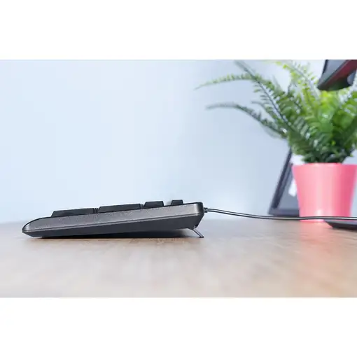 Trust TK-150 teclado Universal USB QWERTY Español Negro