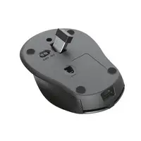Trust Zaya ratón Oficina Ambidextro RF inalámbrico Óptico 1600 DPI