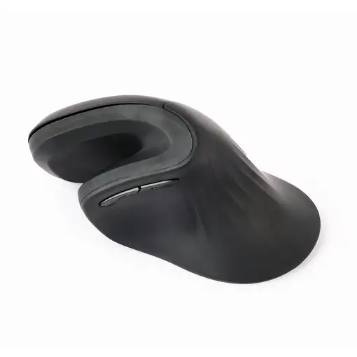 Gembird MUSW-ERGO-03 ratón Hogar mano derecha RF inalámbrico Óptico 1600 DPI