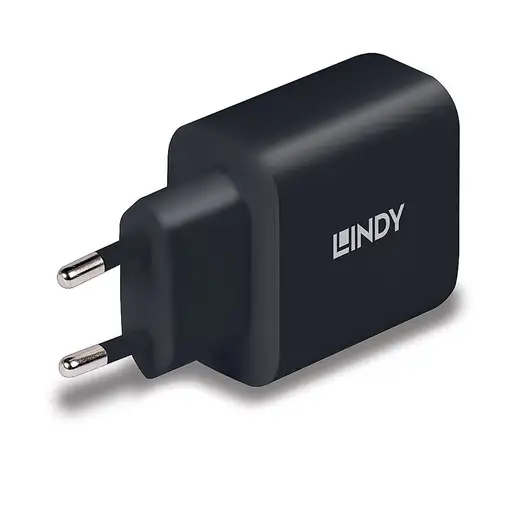 Lindy 73426 cargador de dispositivo móvil Universal Negro Corriente alterna Carga